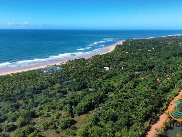 #659 - Área para Venda em Marau - BA
