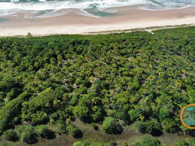 Área para Venda em Marau - 5