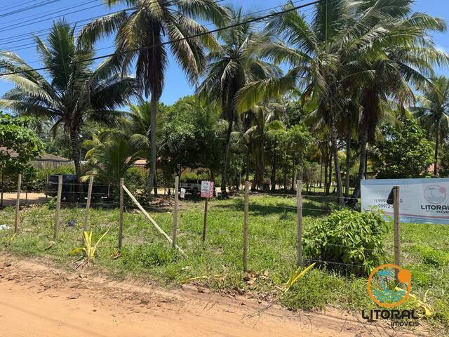 #667 - Terreno para Venda em Marau - BA