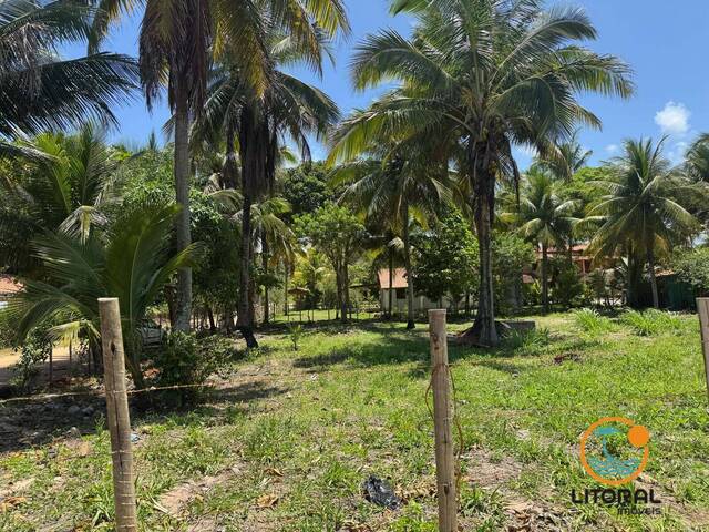 #667 - Terreno para Venda em Marau - BA