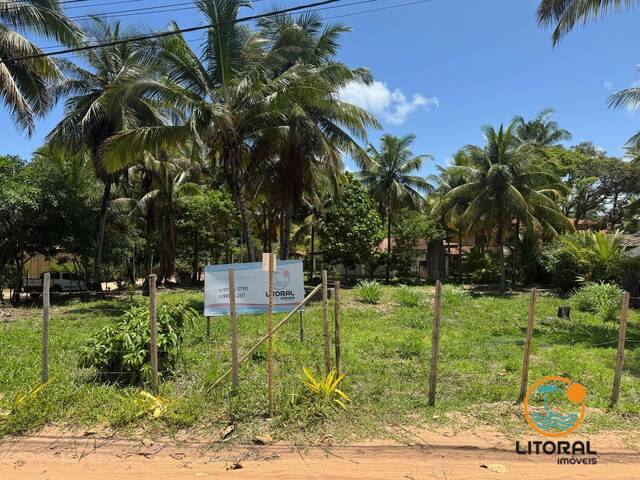 #667 - Terreno para Venda em Marau - BA