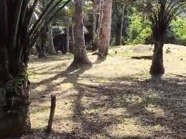 #670 - Área para Venda em Uruçuca - BA