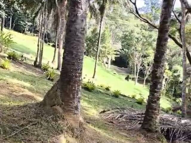 #670 - Área para Venda em Uruçuca - BA