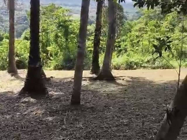 Área para Venda em Uruçuca - 5