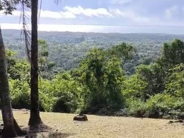 #670 - Área para Venda em Uruçuca - BA