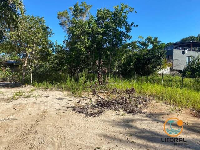 #674 - Terreno para Venda em Marau - BA