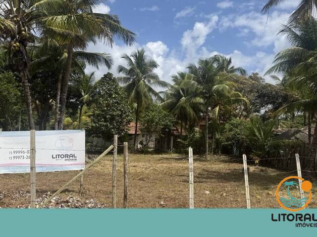 #667 - Terreno para Venda em Marau - BA