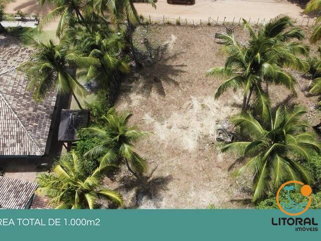 #667 - Terreno para Venda em Marau - BA