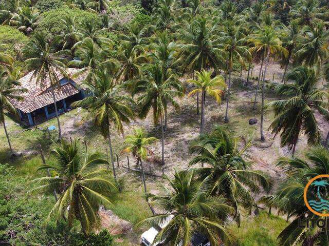 Terreno para Venda em Marau - 5