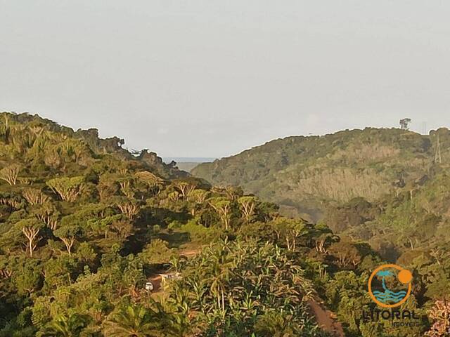 #681 - Fazenda para Venda em Marau - BA