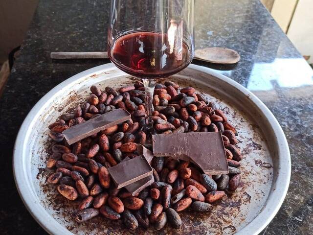 Fazenda para Venda em Marau - 4