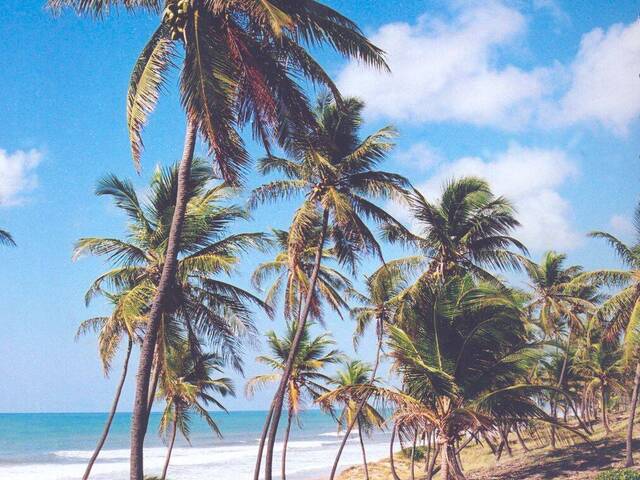 Área para Venda em Conde - 4