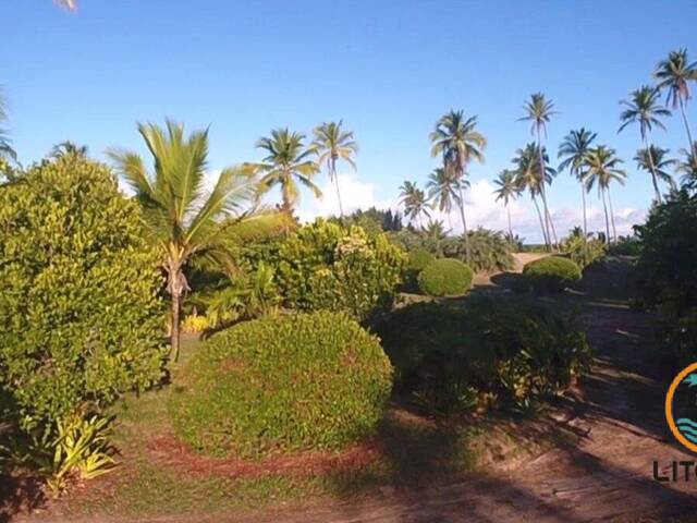 #689 - Terreno para Venda em Marau - BA