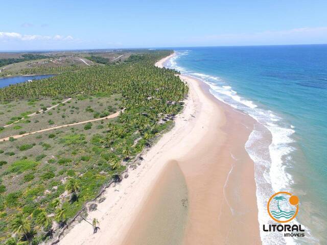 #690 - Área para Venda em Marau - BA