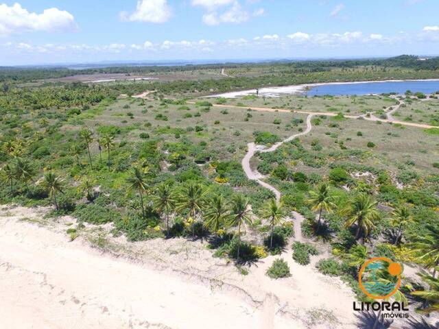#690 - Área para Venda em Marau - BA