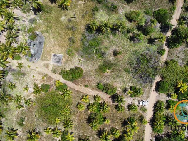 #691 - Área para Venda em Marau - BA