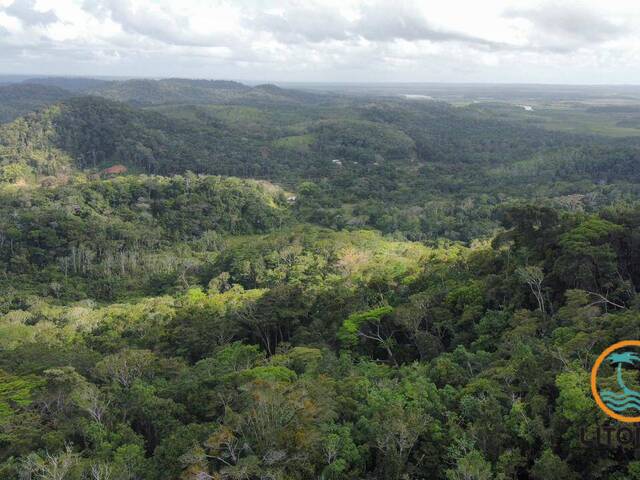 #692 - Fazenda para Venda em Marau - BA