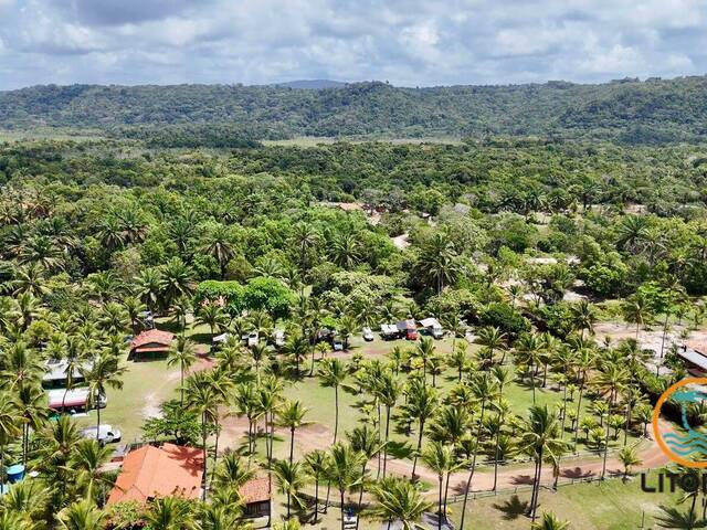 #701 - Área para Venda em Uruçuca - BA