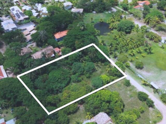 #702 - Terreno para Venda em Marau - BA