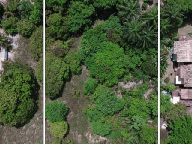 #702 - Terreno para Venda em Marau - BA