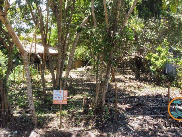Terreno para Venda em Marau - 5