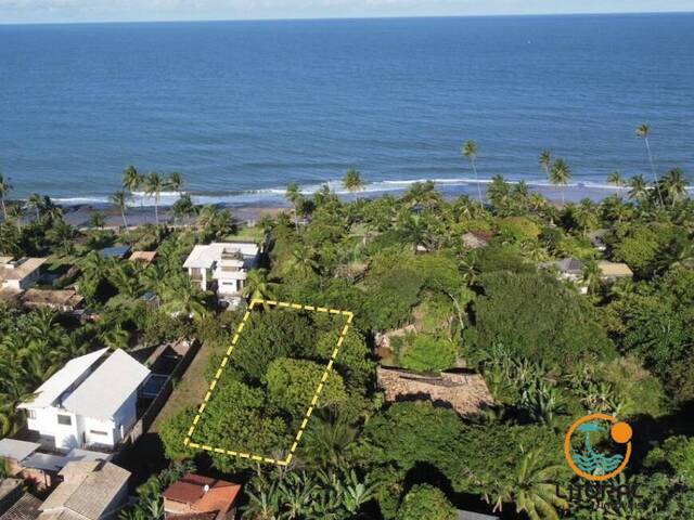 #703 - Terreno para Venda em Marau - BA