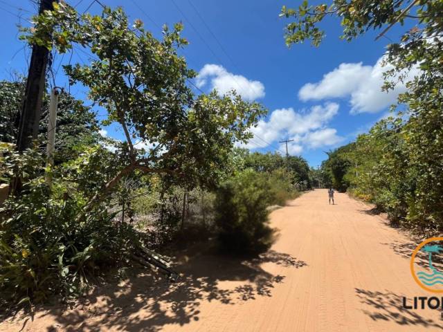 #709 - Terreno para Venda em Marau - BA