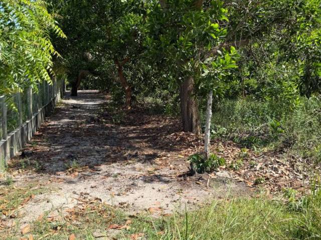 #710 - Terreno para Venda em Marau - BA