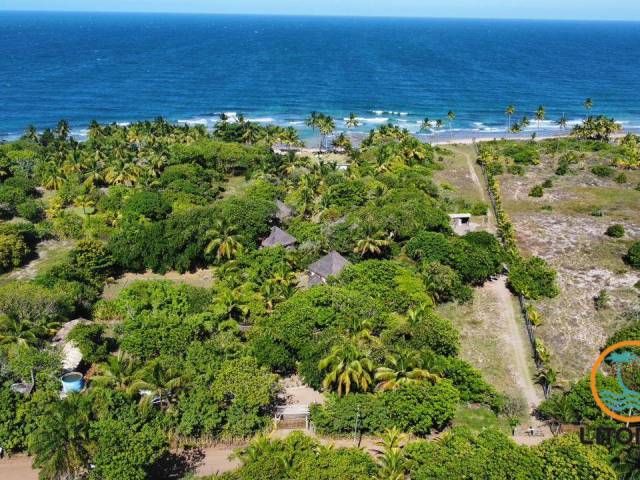 #712 - Área para Venda em Marau - BA