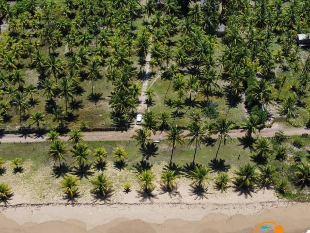 #713 - Área para Venda em Marau - BA