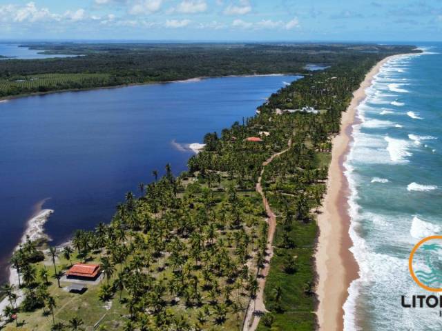 #713 - Área para Venda em Marau - BA