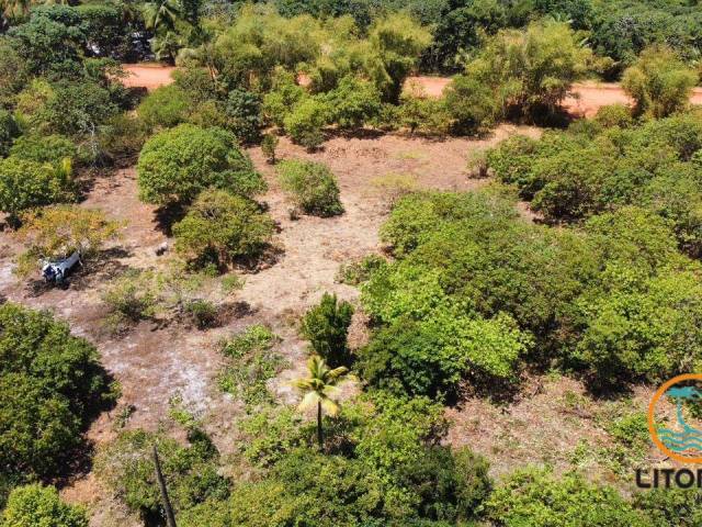 #714 - Área para Venda em Marau - BA