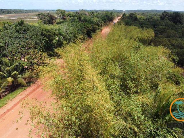 #714 - Área para Venda em Marau - BA