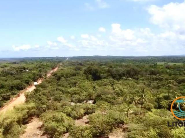 #714 - Área para Venda em Marau - BA