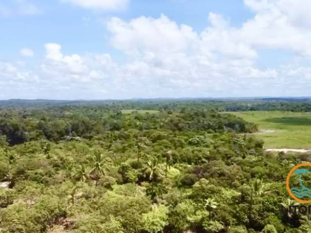 Área para Venda em Marau - 5