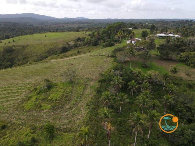 #719 - Fazenda para Venda em Uruçuca - BA