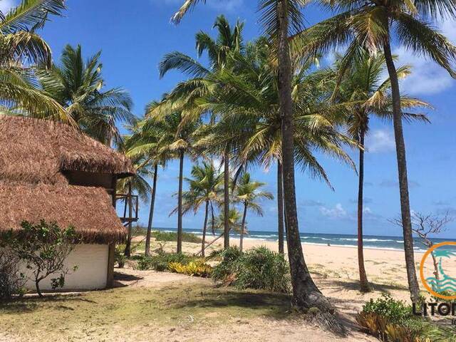 #723 - Área para Venda em Marau - BA