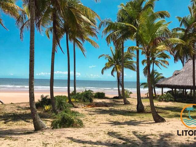 #723 - Área para Venda em Marau - BA