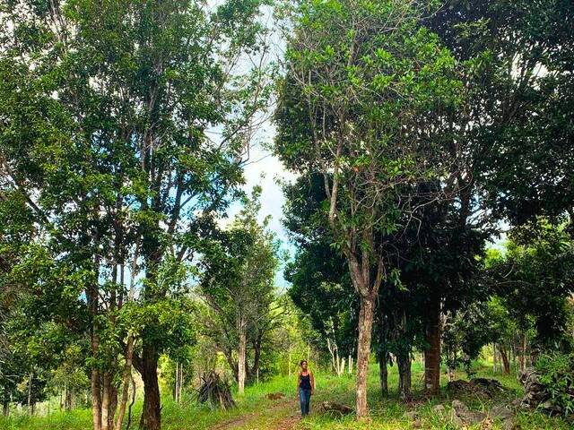 #731 - Área para Venda em Uruçuca - BA