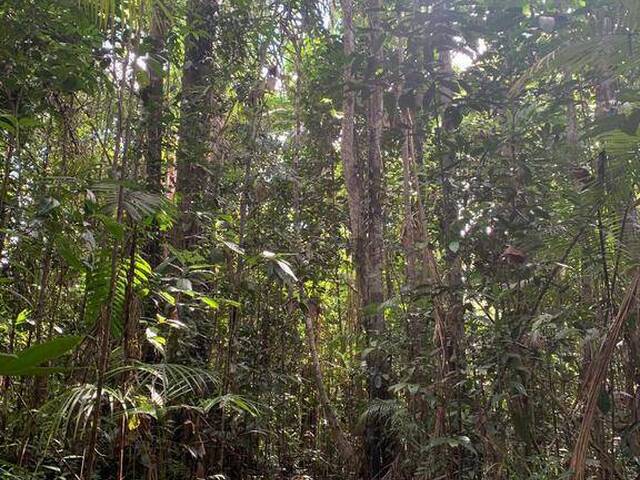 Área para Venda em Uruçuca - 5