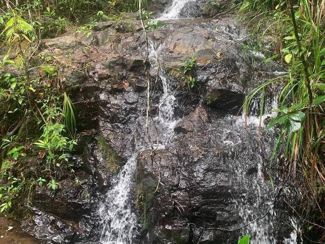 Área para Venda em Uruçuca - 4