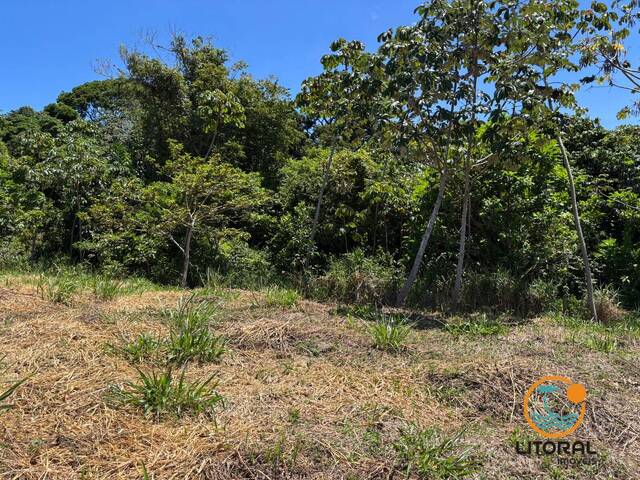 #738 - Terreno em condomínio para Venda em Itacaré - BA