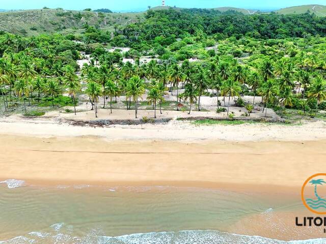 #741 - Área para Venda em Marau - BA