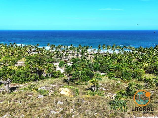 Venda em Cassange - Marau