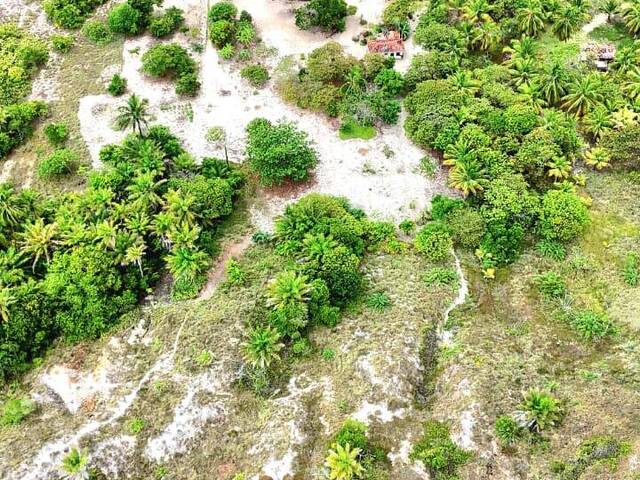 #741 - Área para Venda em Marau - BA
