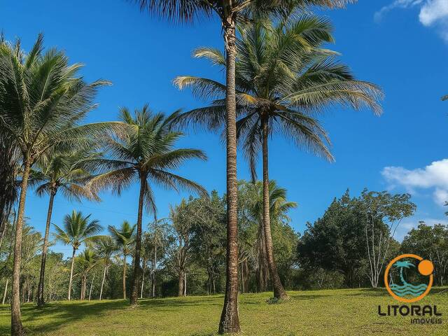 #743 - Terreno para Venda em Uruçuca - BA