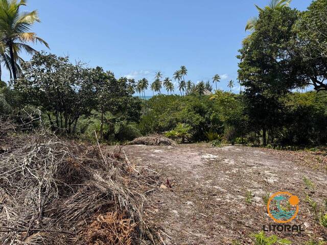 Terreno para Venda em Marau - 4