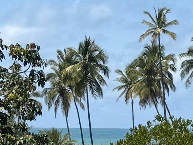 Venda em Cassange - Marau