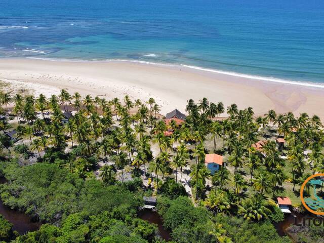 #723 - Área para Venda em Marau - BA