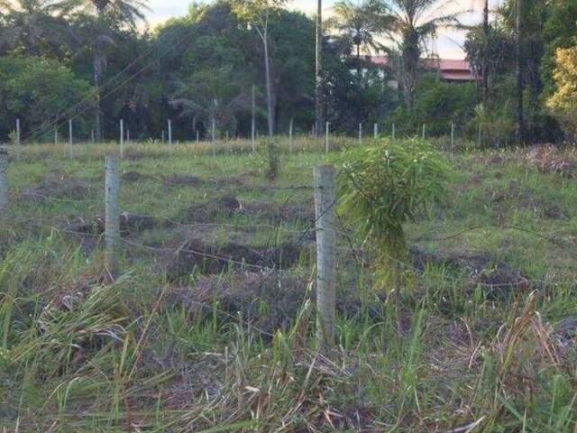Terreno para Venda em Marau - 2